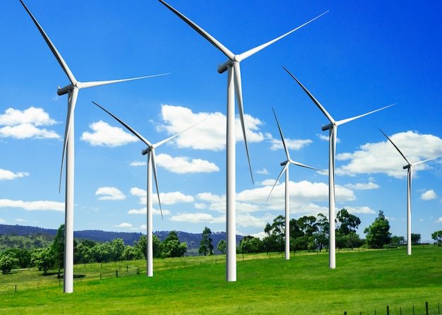 Wind Energy Consulting